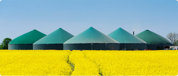 Explosion protected videocameras to monitor and control biogas plants biogas, camera, explosion proof