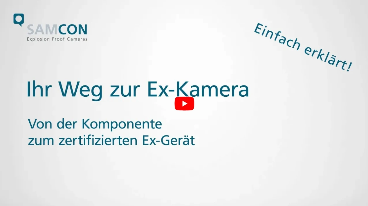 Video abspielen